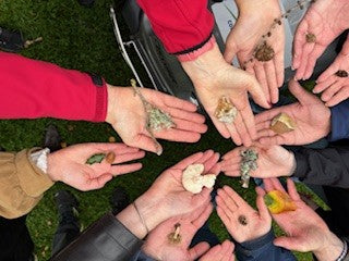 What If Your Next Prescription Was a Walk in the Park?