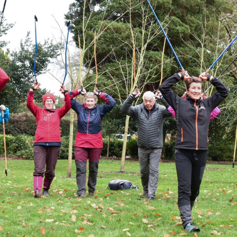 Balance & Coordination Nordic Walking Instructor CPD training